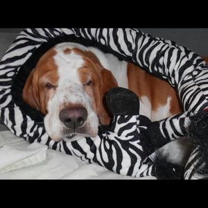 Meet your Posher, Suzanne